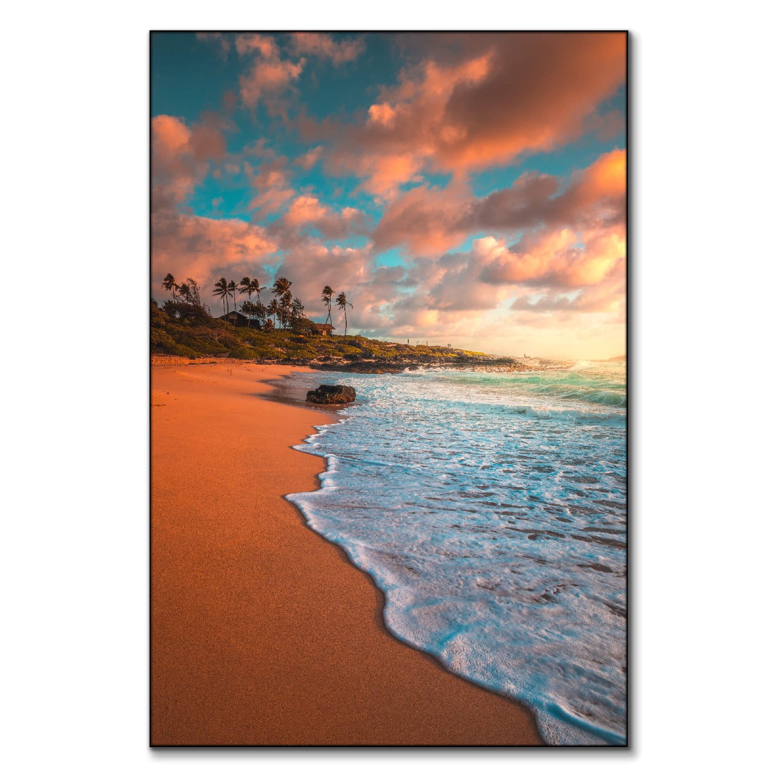 Nature Canvas Paintings