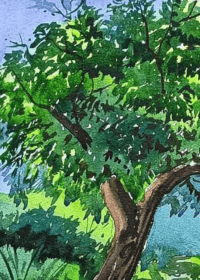 Forest and Tree Canvas Paintings – Bring Nature’s Serenity to Your Space