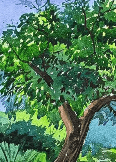 Nature Canvas Paintings