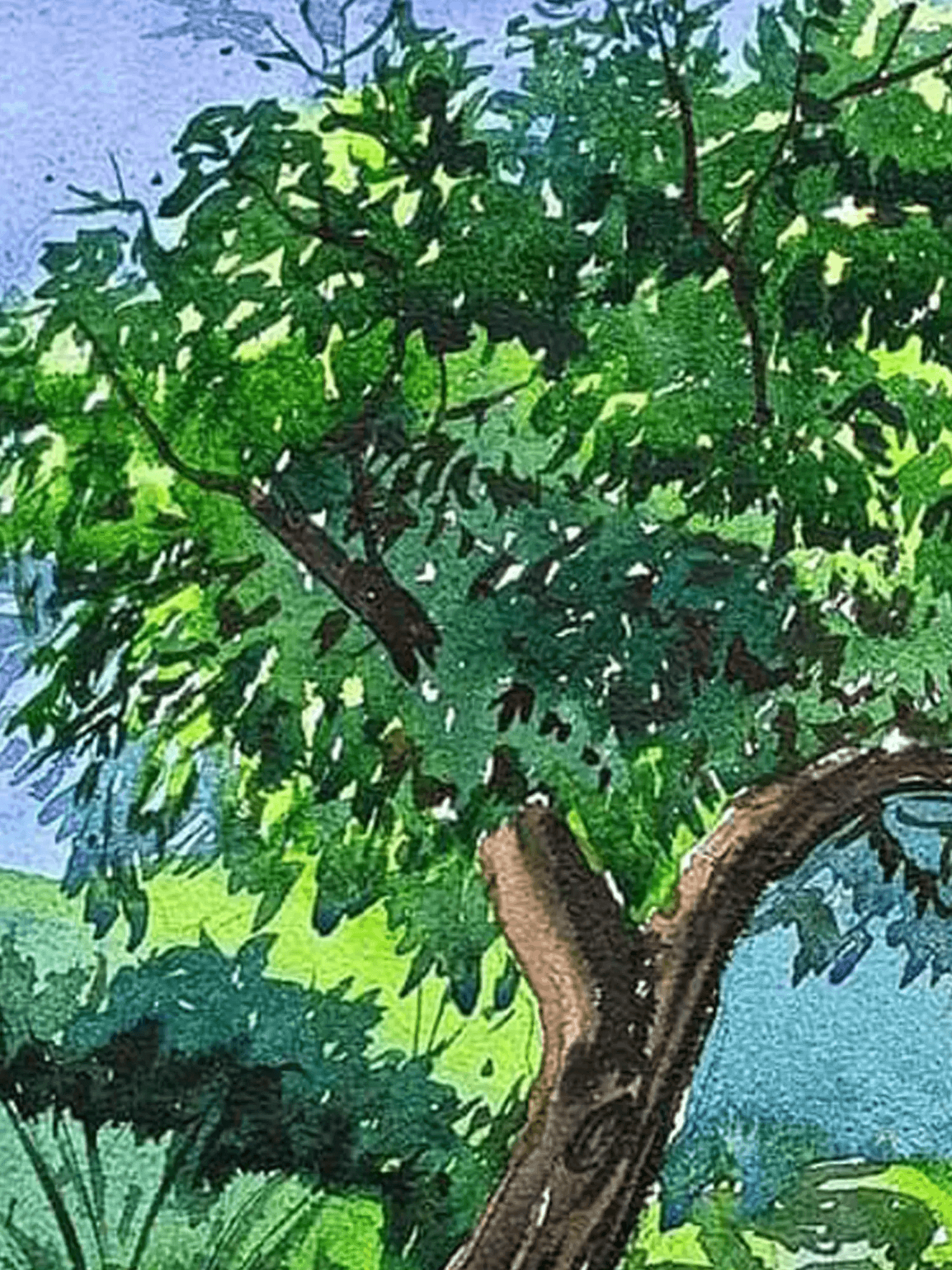 Nature Canvas Paintings